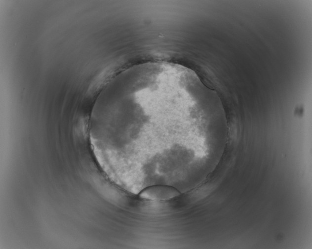 X0000112100286200909151207