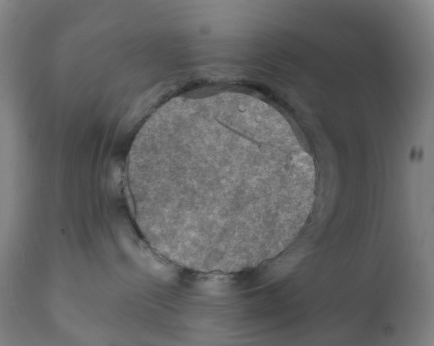 X0000112100288200909151207
