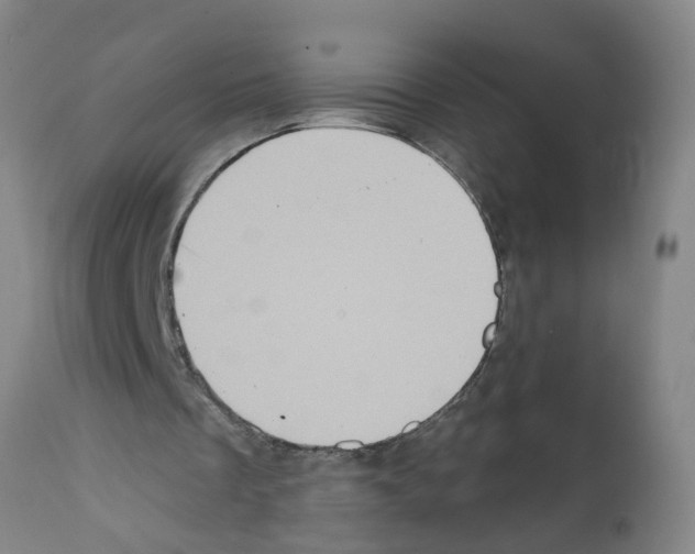 X0000112100289200909151207