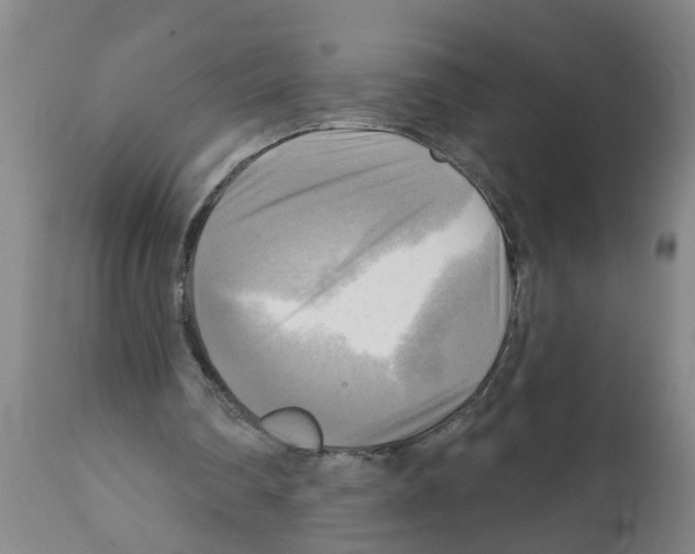 X0000112100290200909151207