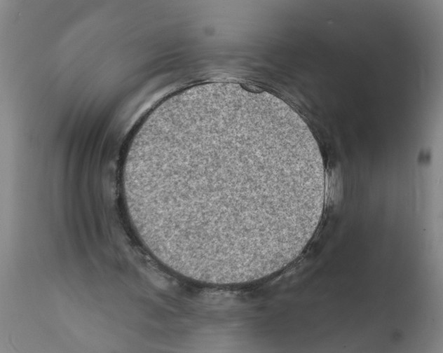 X0000112100291200909151207