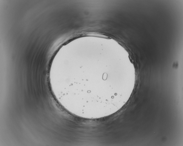 X0000112100293200909151207