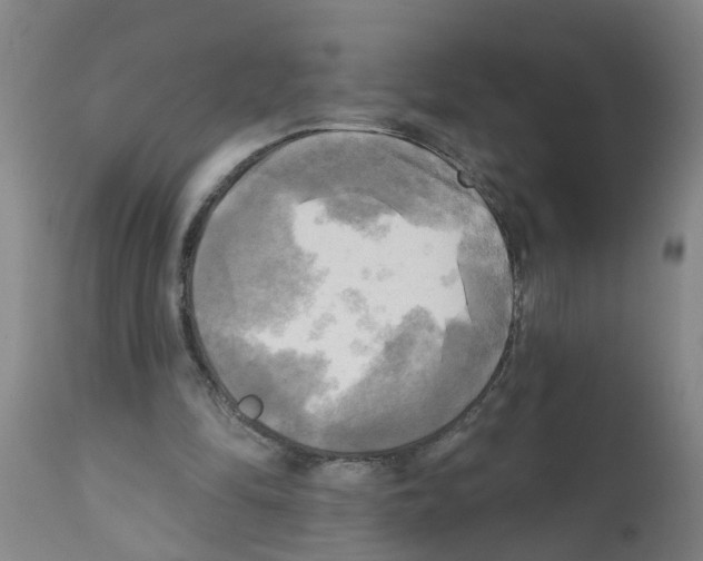 X0000112100294200909151207