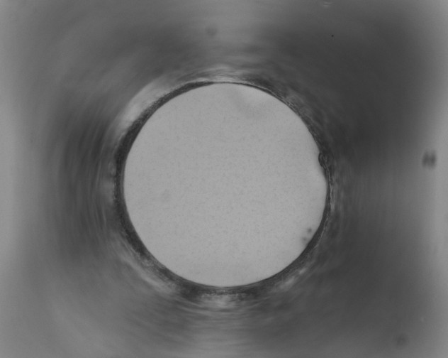 X0000112100295200909151207