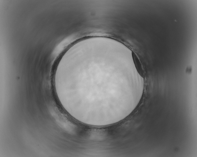 X0000112100296200909151207