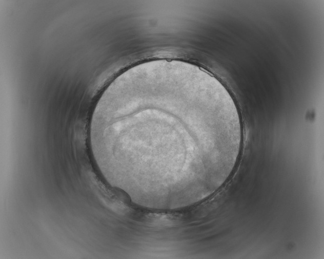 X0000112100297200909151207