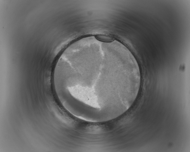 X0000112100299200909151207