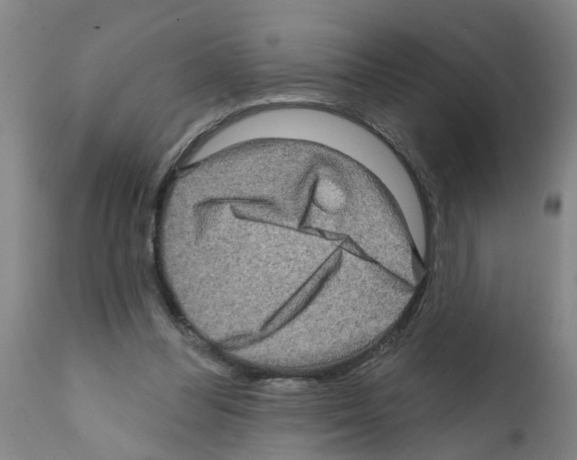 X0000112100300200909151206