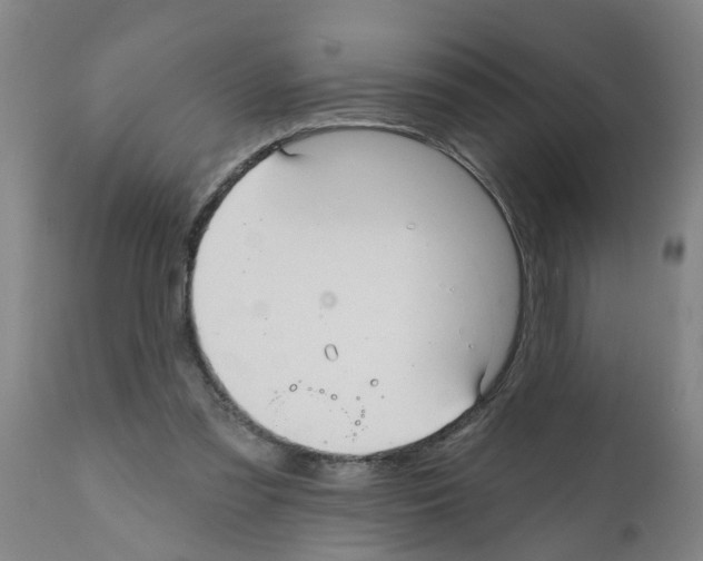 X0000112100301200909151206