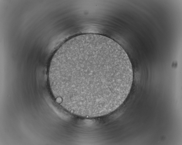 X0000112100302200909151206