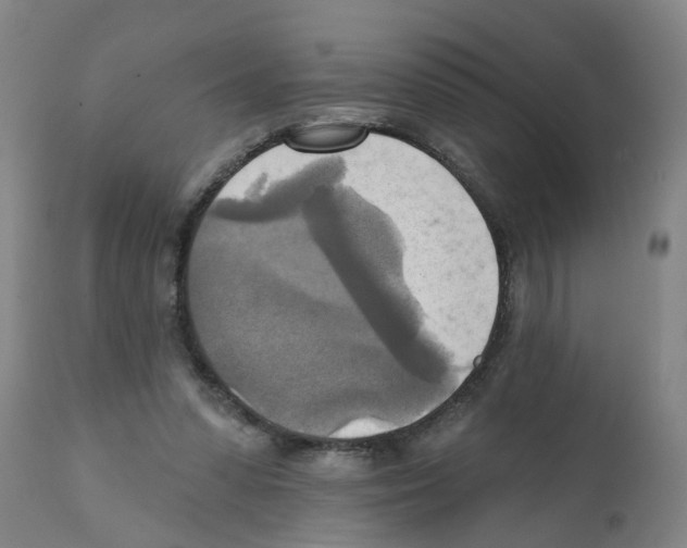 X0000112100303200909151206