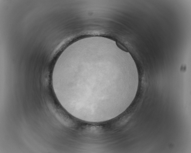 X0000112100304200909151206