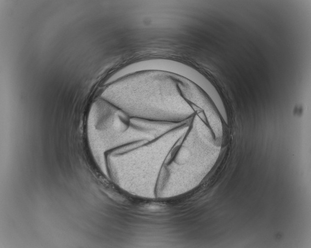 X0000112100308200909151206