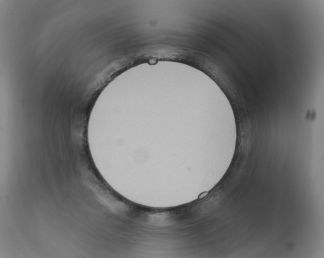 X0000112100309200909151206