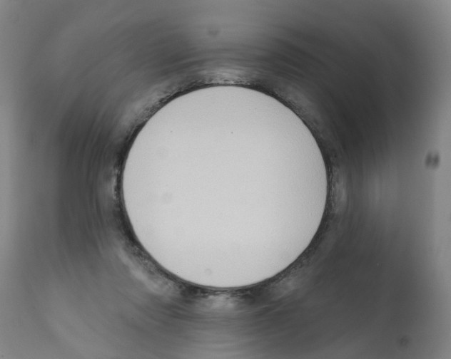 X0000112100310200909151206
