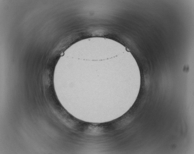 X0000112100311200909151206