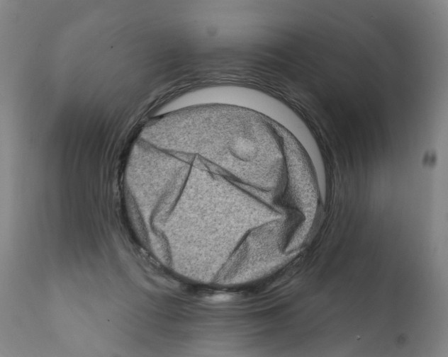X0000112100312200909151206