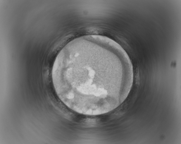 X0000112100314200909151206