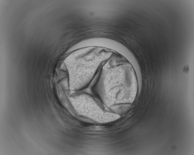 X0000112100316200909151206