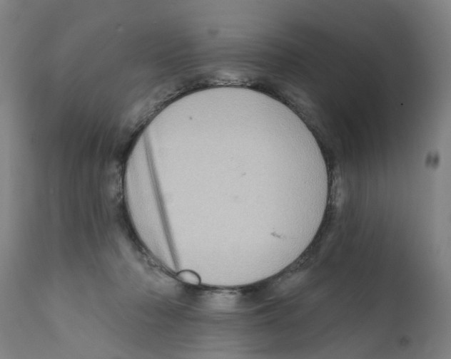 X0000112100318200909151206