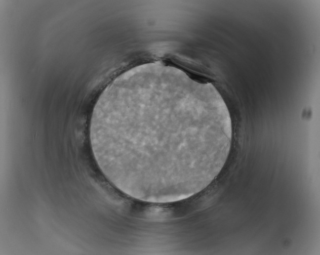 X0000112100319200909151206