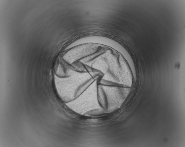 X0000112100320200909151206
