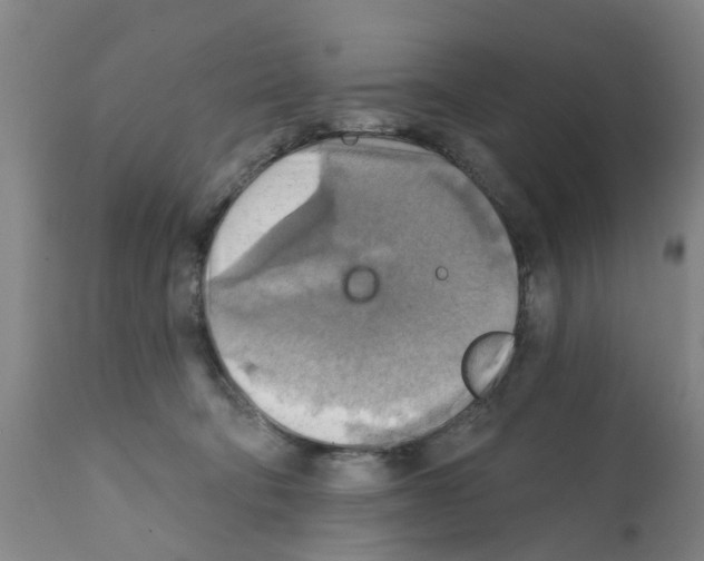 X0000112100322200909151206