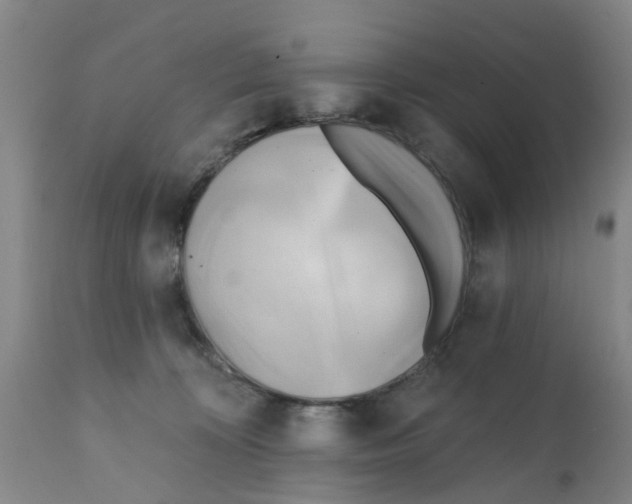 X0000112100324200909151206