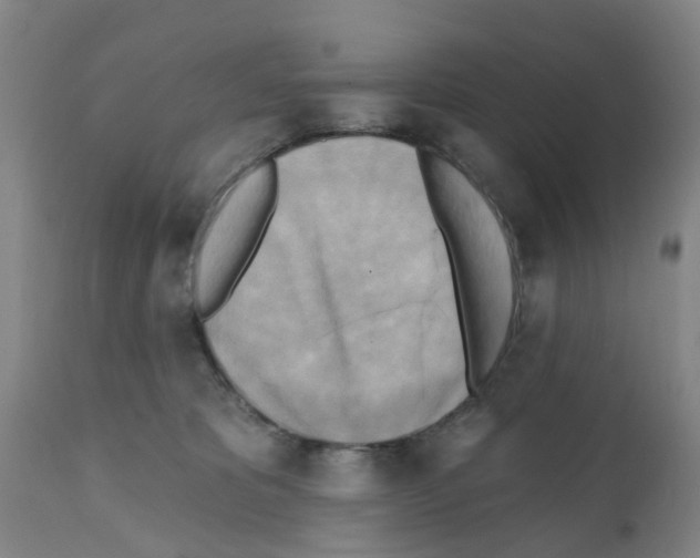 X0000112100325200909151206