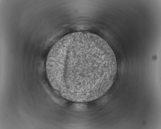X0000112100327200909151206