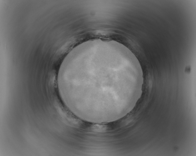 X0000112100328200909151206