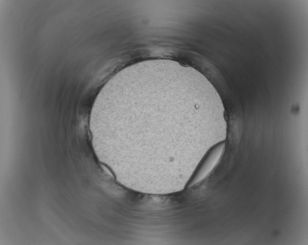 X0000112100329200909151206