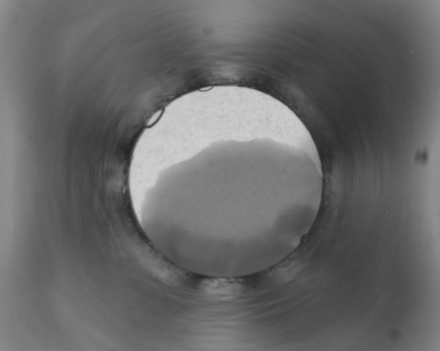 X0000112100331200909151206