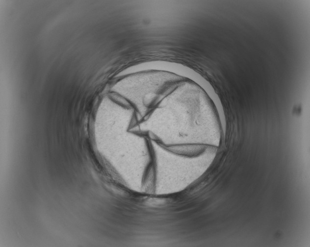 X0000112100332200909151206