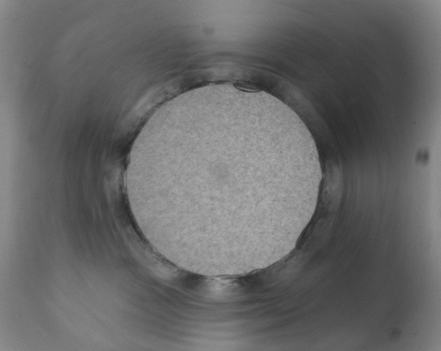 X0000112100333200909151206