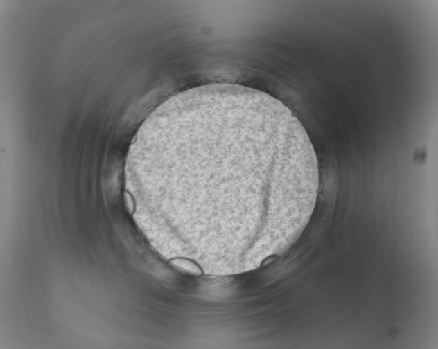 X0000112100334200909151206