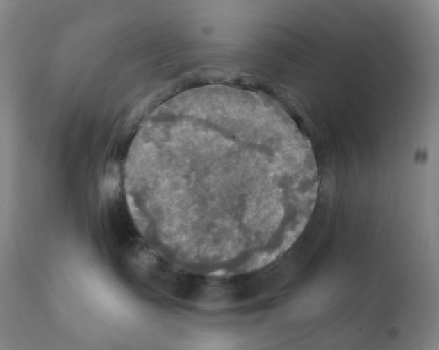X0000112100335200909151206