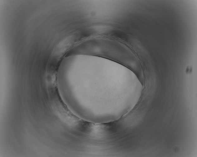 X0000112100336200909151206