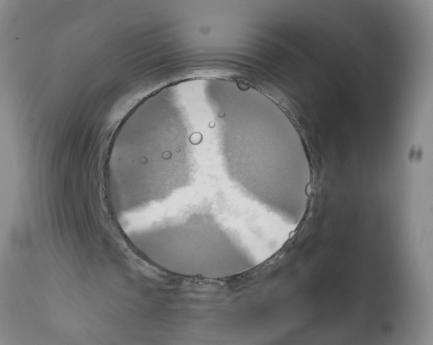 X0000112100337200909151205