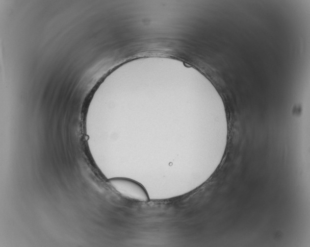 X0000112100338200909151205