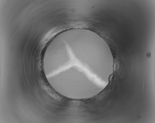 X0000112100339200909151205