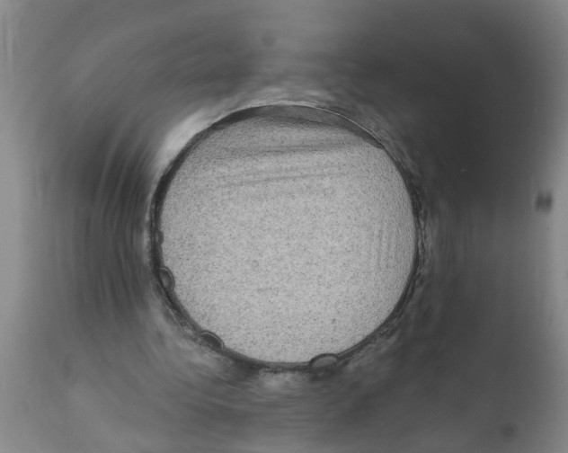 X0000112100340200909151205