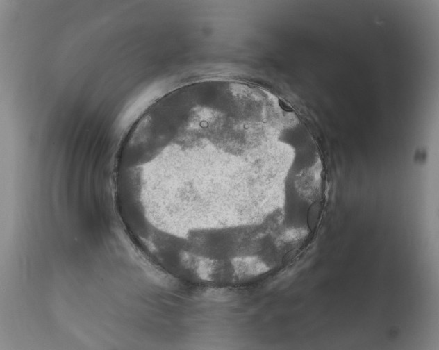 X0000112100341200909151205