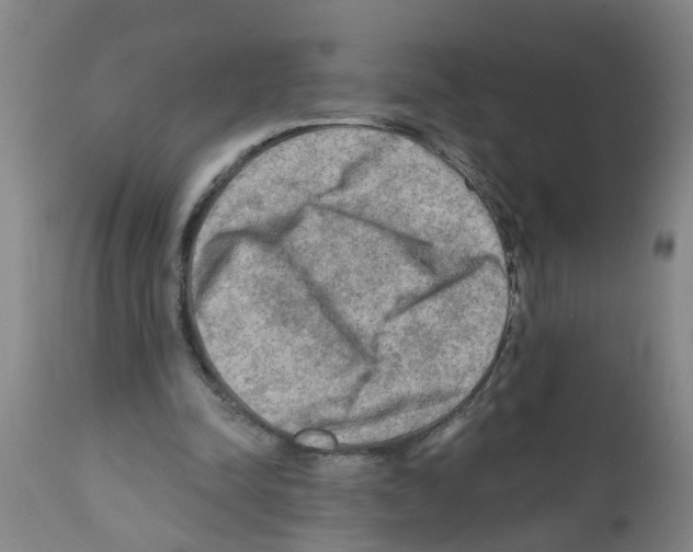 X0000112100342200909151205