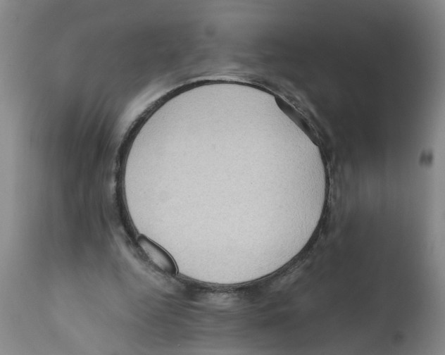 X0000112100344200909151205