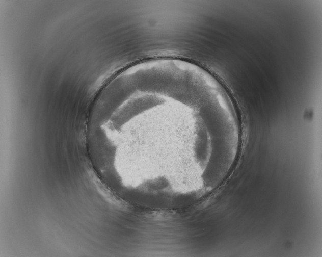 X0000112100345200909151205