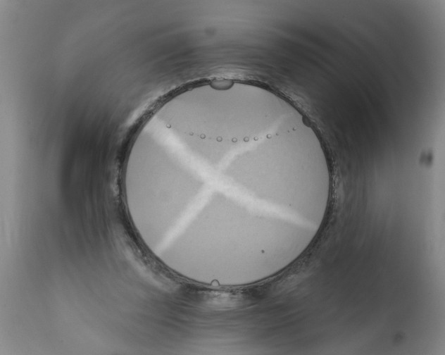 X0000112100347200909151205