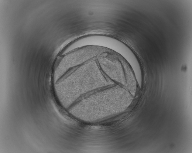 X0000112100348200909151205