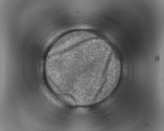 X0000112100350200909151205