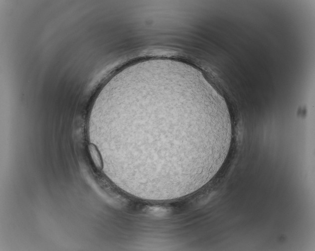 X0000112100352200909151205